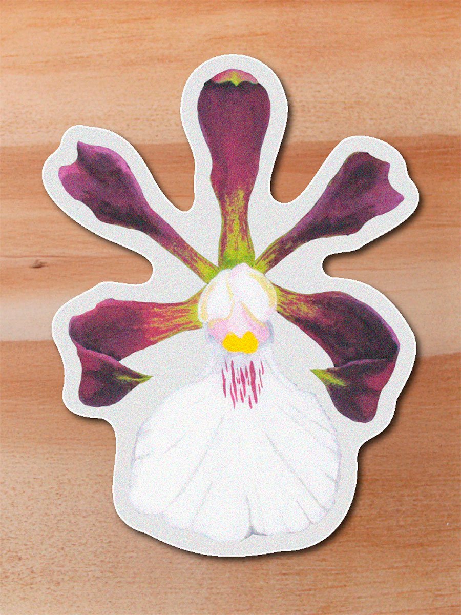 stickerss_0016_plantas-05.png Sticker Orquidea-Encyclia cordigera