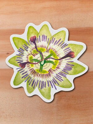Sticker Maracuyá-Passiflora edulis