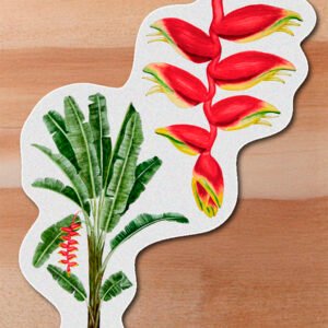 Sticker Platanillo-Heliconia rostrata