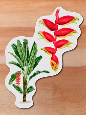 Sticker Platanillo-Heliconia rostrata