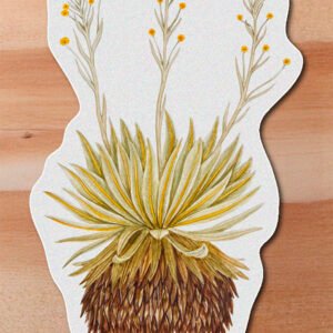 Sticker Frailejon-Espeletia muiska