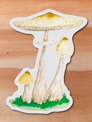 Sticker hongo amarillo