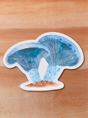 Sticker -Lactarius indigo