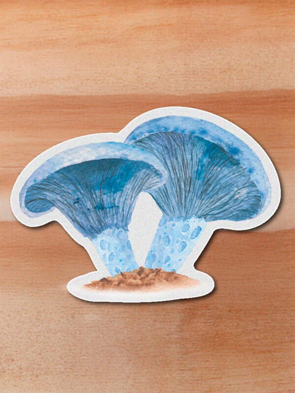 stickerss_0032_plantas-21.png Sticker -Lactarius indigo