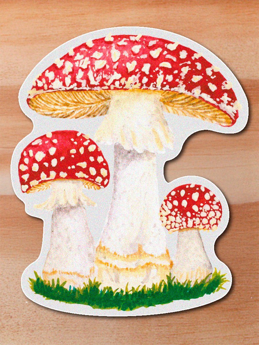 stickerss_0035_plantas-24.png Sticker Amanita -Amanita muscaria