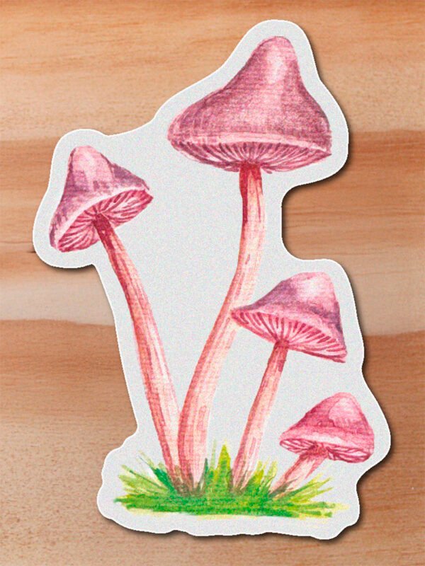 stickerss_0039_plantas-28.png Sticker hongo rosado