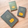 Libreta Reptiles de Colombia