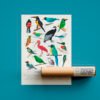 Poster - Aves de Colombia