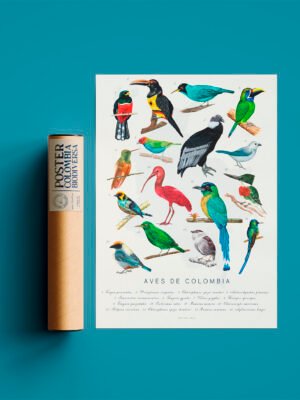 Poster - Aves de Colombia