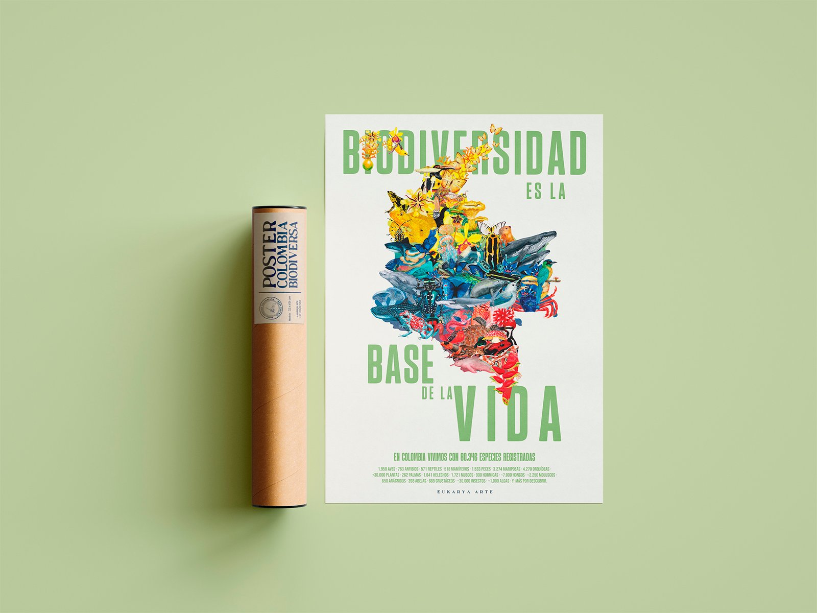 Poster - Biodiversidad es la base de la vida