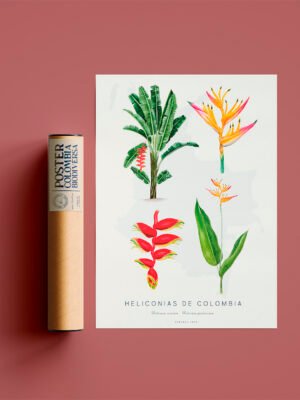 Poster - Heliconias de Colombia