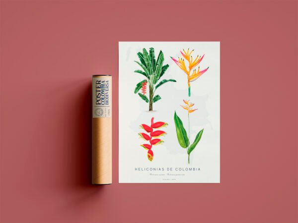 Poster - Heliconias de Colombia