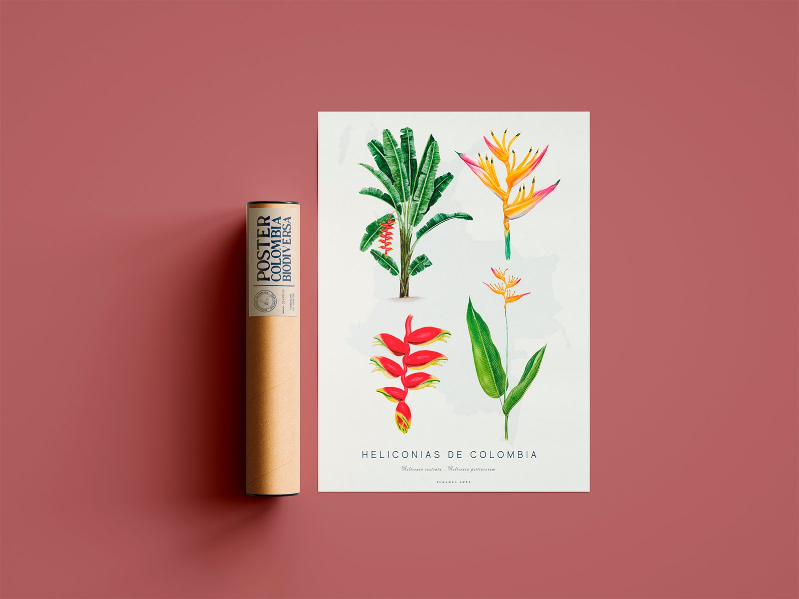 Poster - Heliconias de Colombia