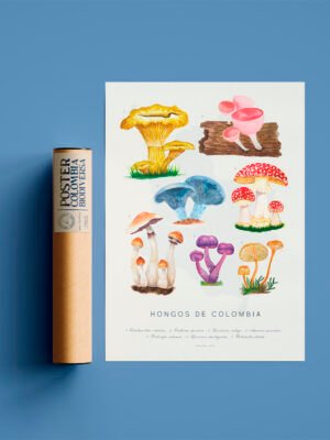 Poster - Hongos de Colombia
