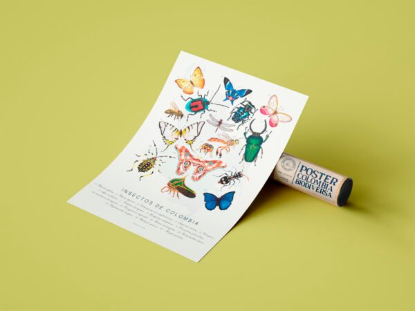 Poster - Insectos de Colombia