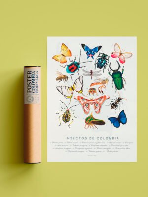 Poster - Insectos de Colombia