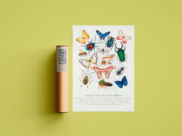 Poster - Insectos de Colombia