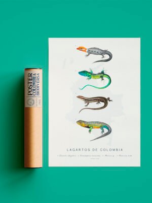 Poster - Lagartos de Colombia