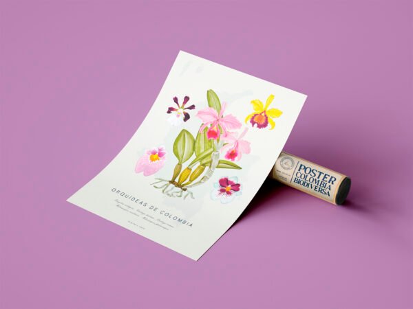 Poster - Orquídeas de Colombia