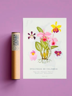 Poster - Orquídeas de Colombia
