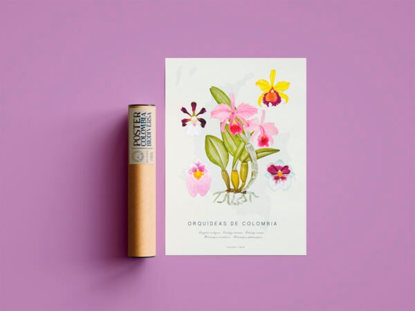 Poster - Orquídeas de Colombia