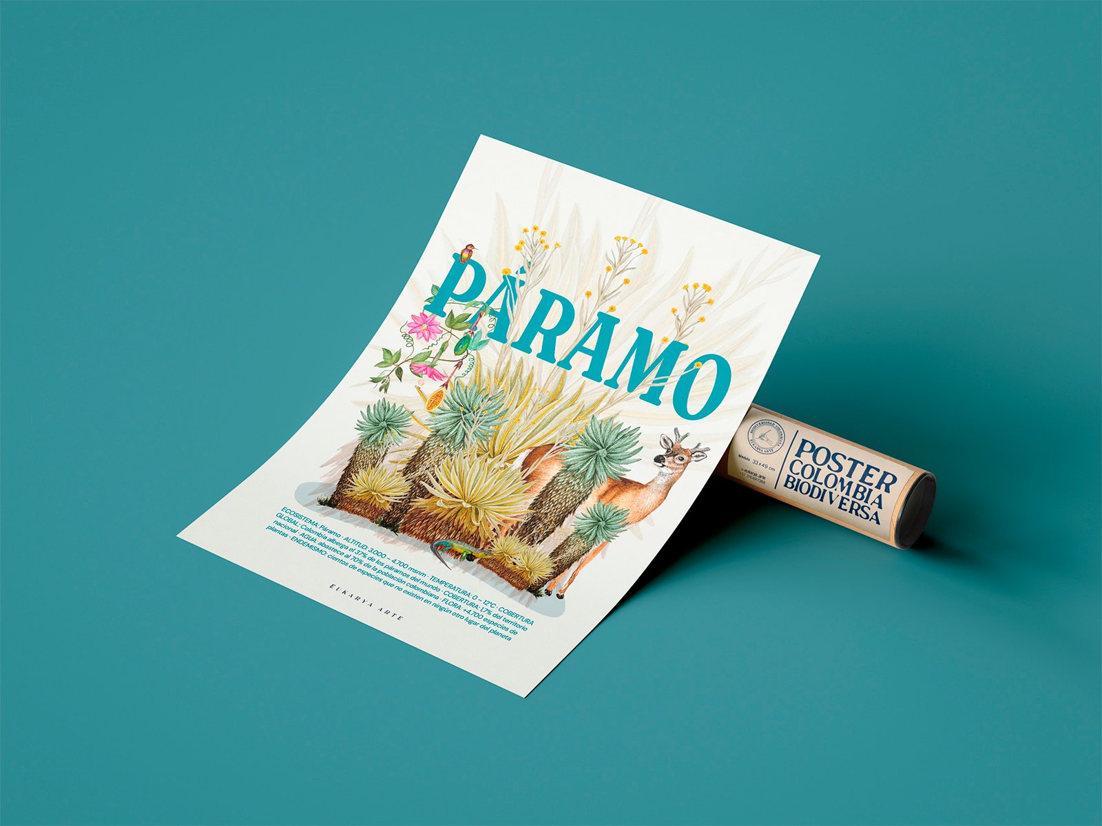 Poster - Páramo