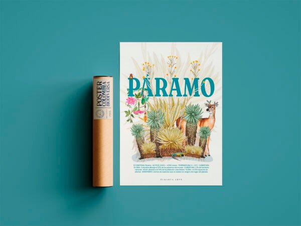 Poster - Páramo