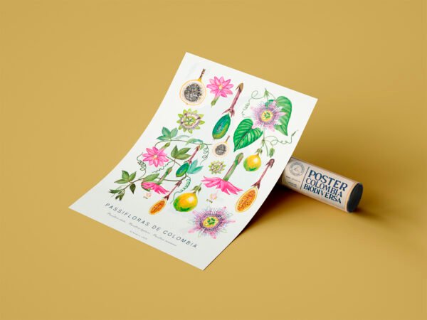 Poster - Passifloras de Colombia