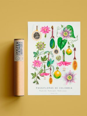 Poster - Passifloras de Colombia