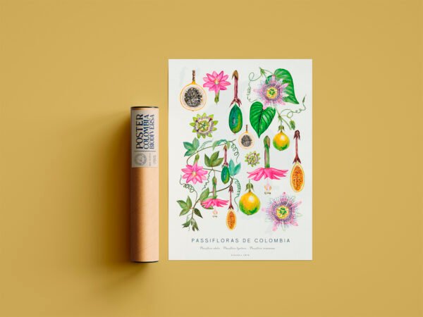 Poster - Passifloras de Colombia