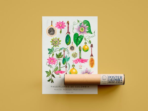 Poster - Passifloras de Colombia