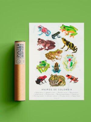 Poster - Anuros de Colombia