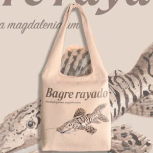 Bagre rayado - Pseudoplastystoma magdaleniatum