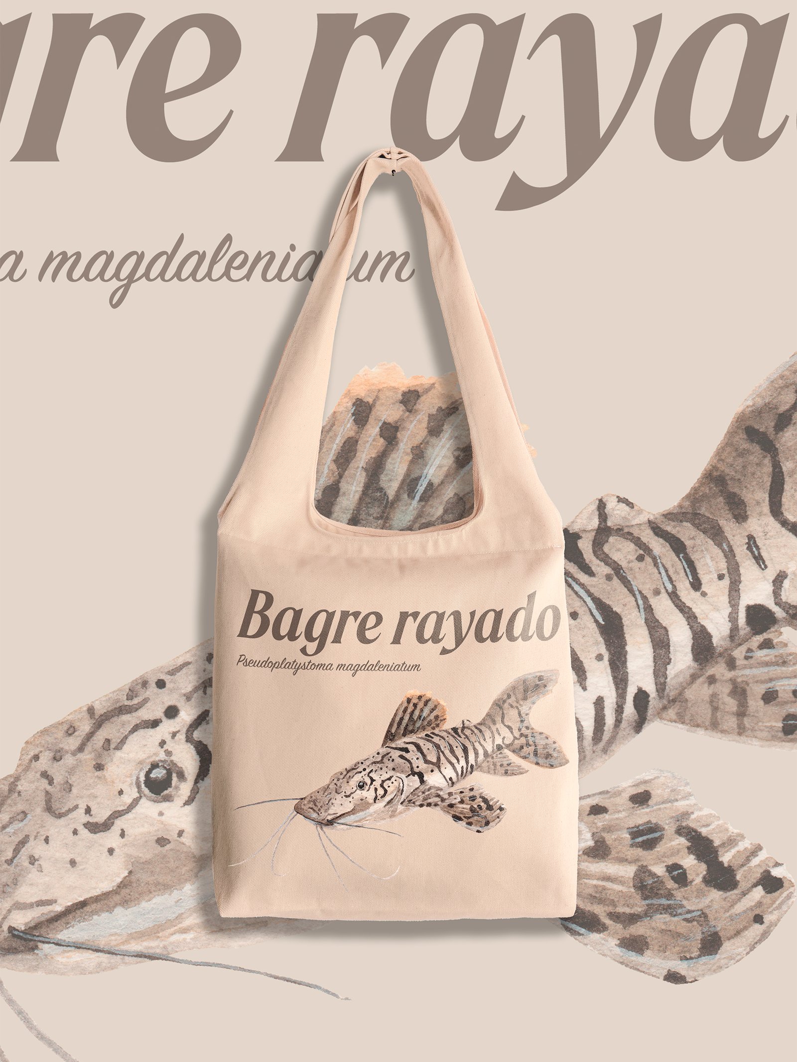Bagre rayado - Pseudoplastystoma magdaleniatum