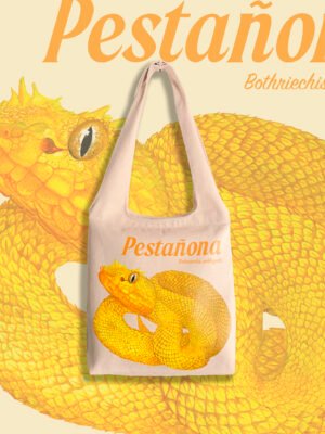 Pestañona - Bothriechis schlegelii