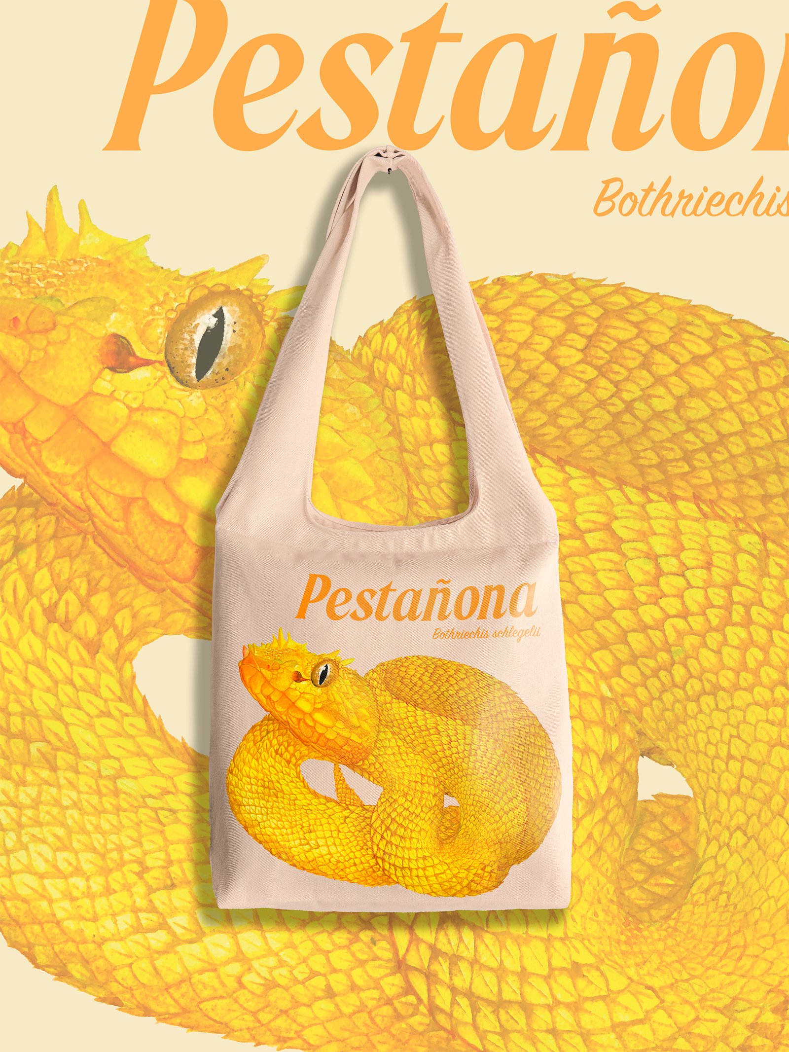 Pestañona - Bothriechis schlegelii