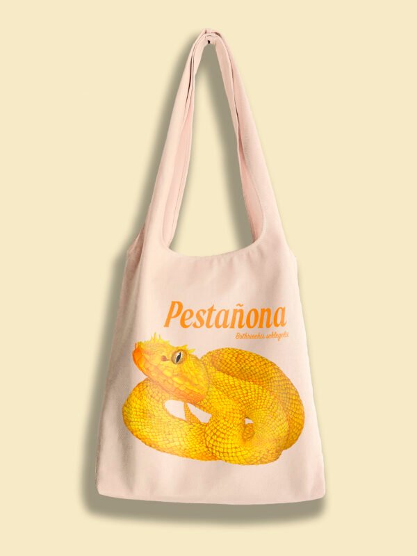 Pestañona - Bothriechis schlegelii