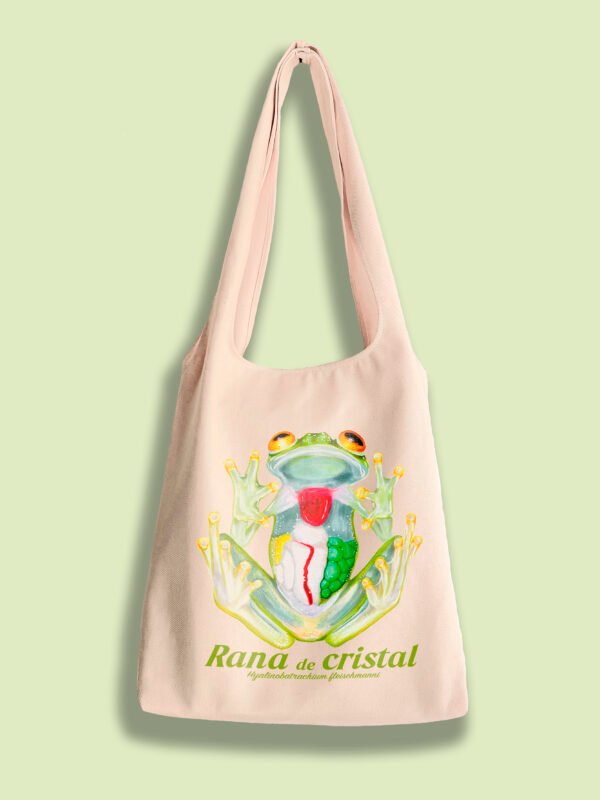 Sin título-1_0005_rana cristal 3.png Rana de cristal - Hyalinobatrachium fleischmanni.