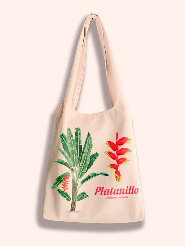 Platanillo - Heliconia rostrata