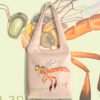 Totebag “Abeja Angelita” – Tetragonisca angustula