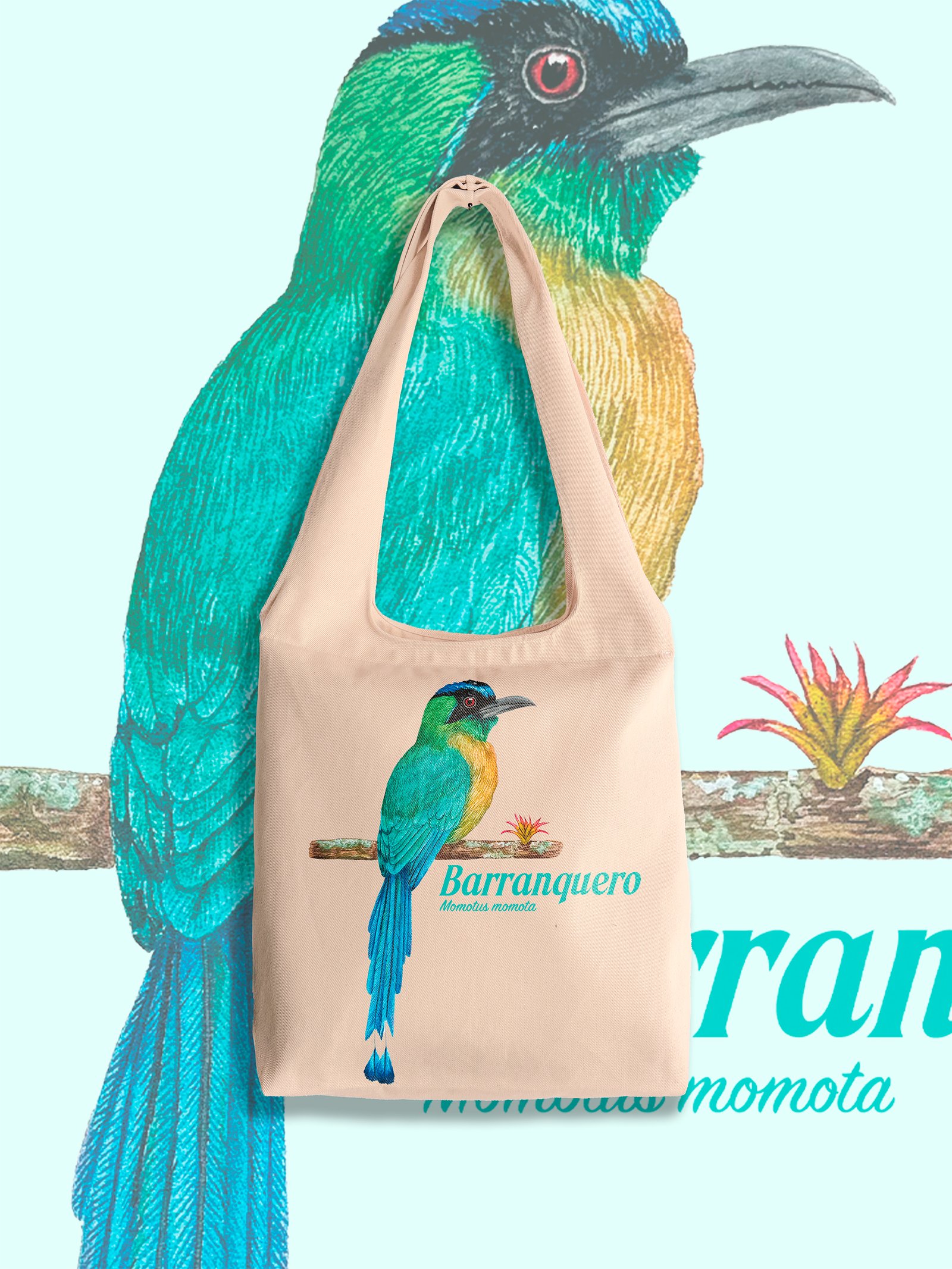 Barranquero - momotus momota
