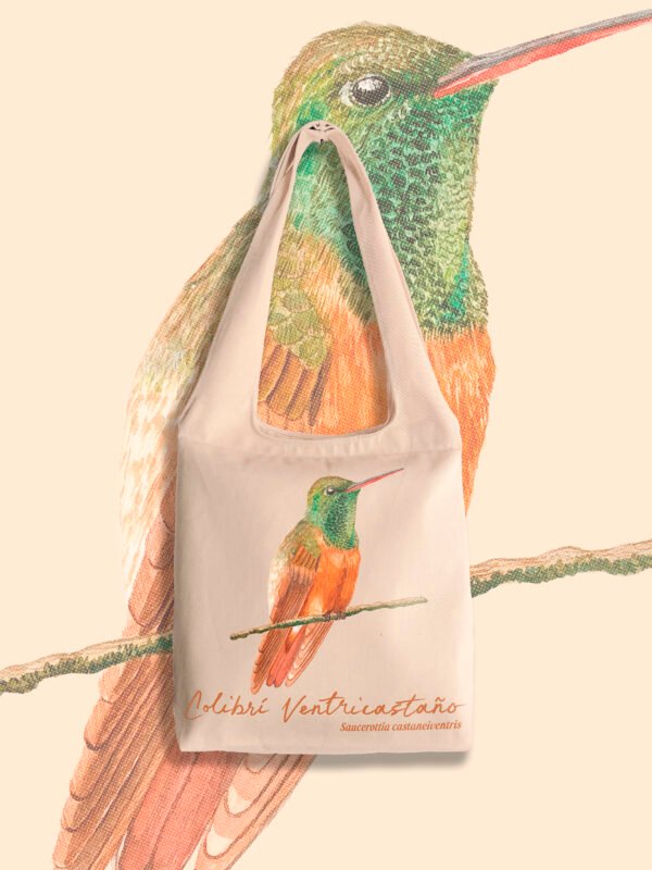 Totebag “Colibrí Ventricastaño” – Saucerottia castaneiventris