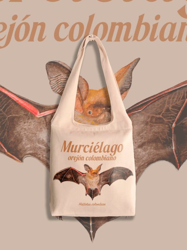 Murcielago - Histiotus colombiae