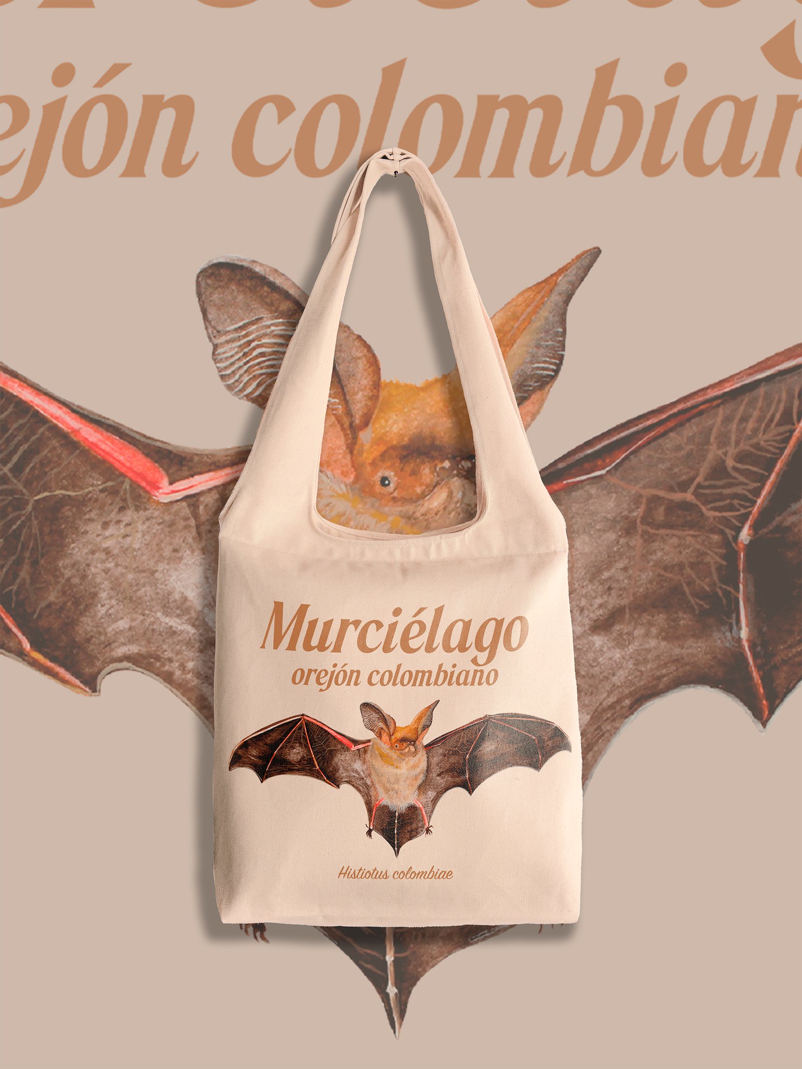 Murcielago - Histiotus colombiae