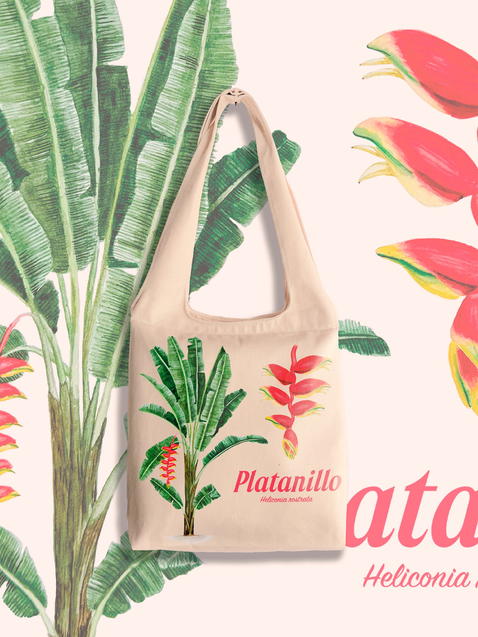 Platanillo - Heliconia rostrata