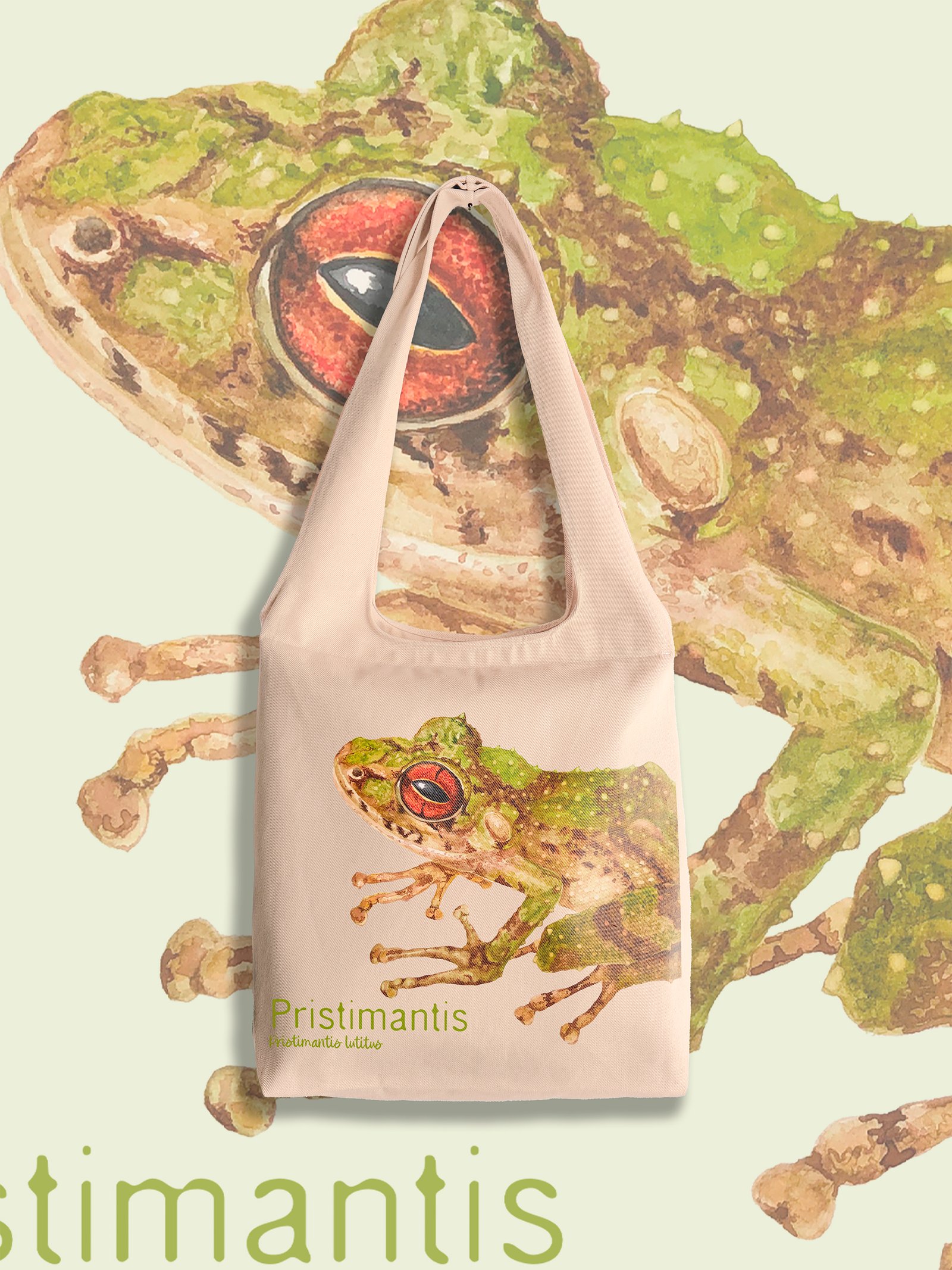 Totebag “Pristimantis lutitus” – Rana de los Andes